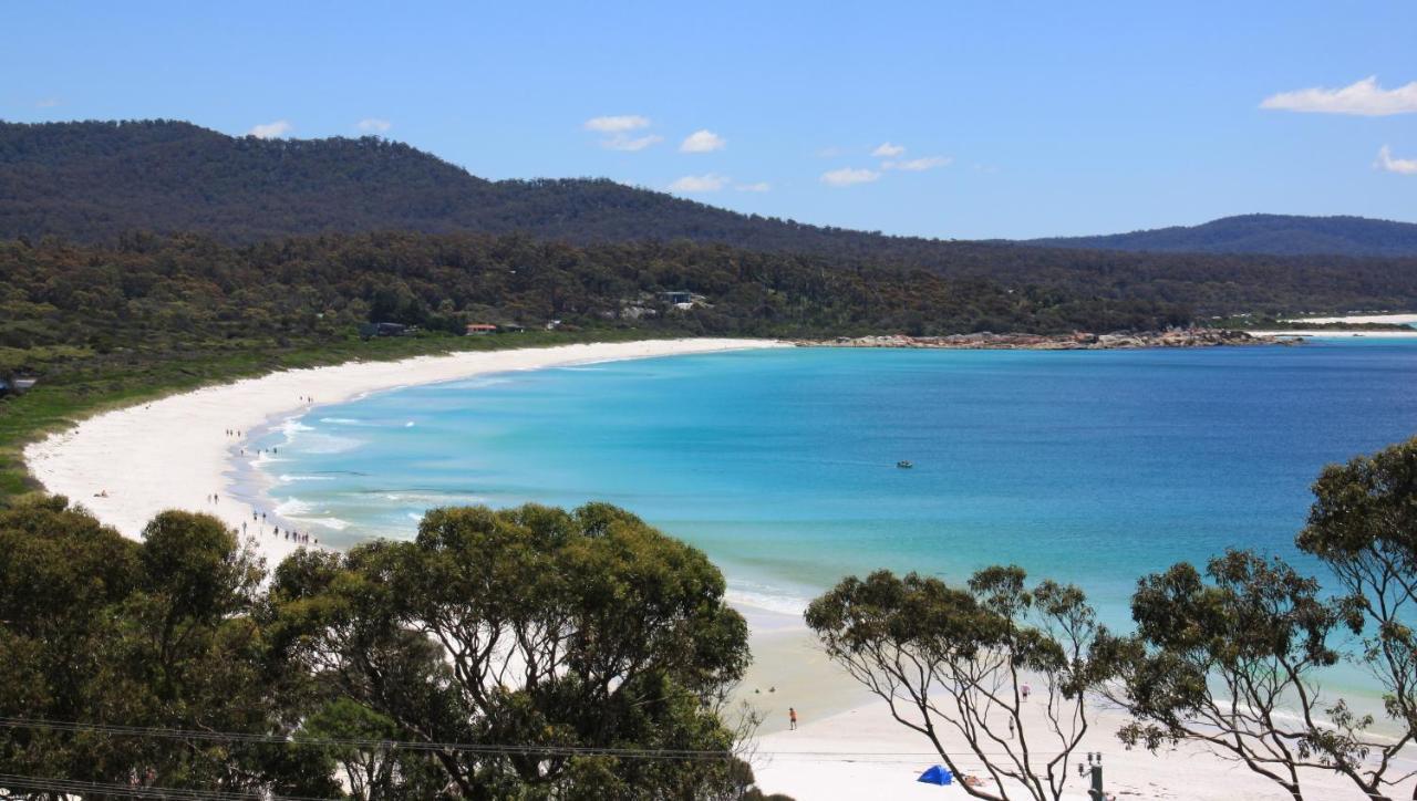 Sea Eagle Cottage Amazing Views Of Bay Of Fires Binalong Bay Bagian luar foto