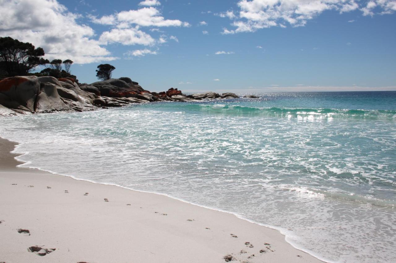 Sea Eagle Cottage Amazing Views Of Bay Of Fires Binalong Bay Bagian luar foto